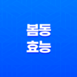 봄동의 다양한 효능과 의미 25