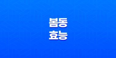 봄동의 다양한 효능과 의미 47