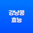 강낭콩의 다양한 효능과 갱년기에 도움되는 음식 29