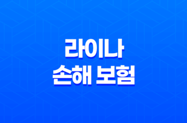 2025년 라이나 손해 보험 - 완벽 가이드 및 고객센터 이용 꿀팁! 13
