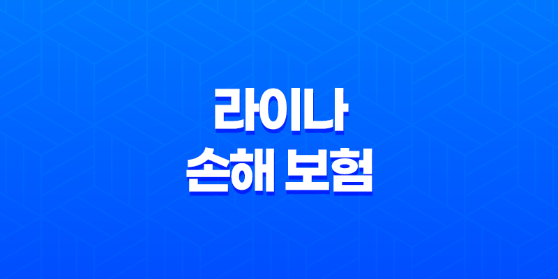 2025년 라이나 손해 보험 - 완벽 가이드 및 고객센터 이용 꿀팁! 8 2025년 라이나 손해 보험 - 완벽 가이드 및 고객센터 이용 꿀팁! 7