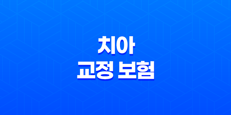 2025년 치아 교정 보험 완벽 가이드(+ 종류, 비용, 혜택, 가입 조건 총정리) 8 2025년 치아 교정 보험 완벽 가이드(+ 종류, 비용, 혜택, 가입 조건 총정리) 7