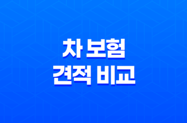 2025년 차 보험 견적 비교(+ 나에게 맞는 최저가 보험 찾기!) 29