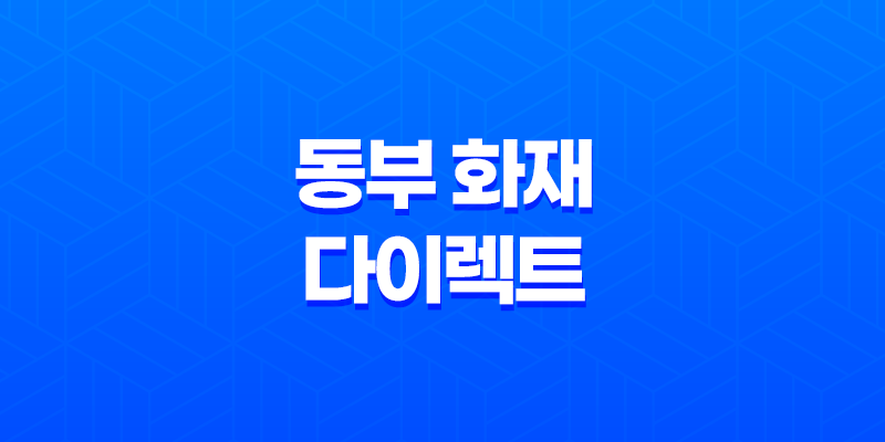 동부 화재 다이렉트 운전자 보험(+ 2025년 최신 정보와 핵심 보장 내용 총정리) 7