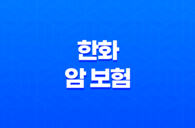 한화 암 보험 2025 : 10가지 주요 상품 완전 분석 - 나에게 맞는 보험은? 17