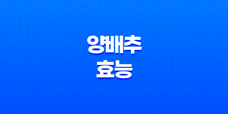 양배추의 놀라운 효능, 세계 3대 장수식품 8 양배추의 놀라운 효능, 세계 3대 장수식품 7