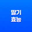 딸기의 놀라운 효능과 부작용 41