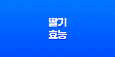 딸기의 놀라운 효능과 부작용 57