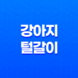 강아지 털 갈이 시기, 고려 사항 및 가장 효과적인 방법 21