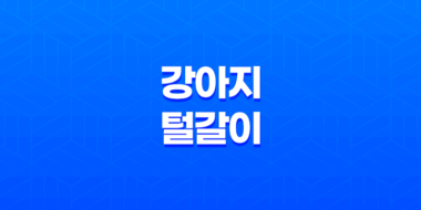 강아지 털 갈이 시기, 고려 사항 및 가장 효과적인 방법 33