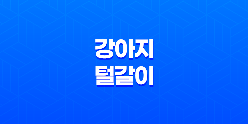 강아지 털 갈이 시기, 고려 사항 및 가장 효과적인 방법 8 강아지 털 갈이 시기, 고려 사항 및 가장 효과적인 방법 7