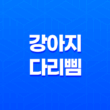 강아지 다리 삠(+ 증상과 대처 방법, 예방법) 17