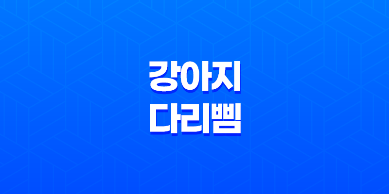 강아지 다리 삠(+ 증상과 대처 방법, 예방법) 7