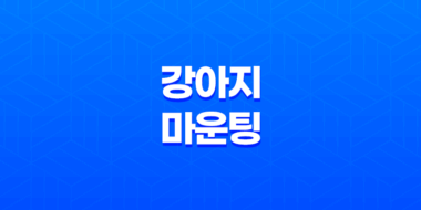 강아지 마운팅 행동 이해와 대처법 63