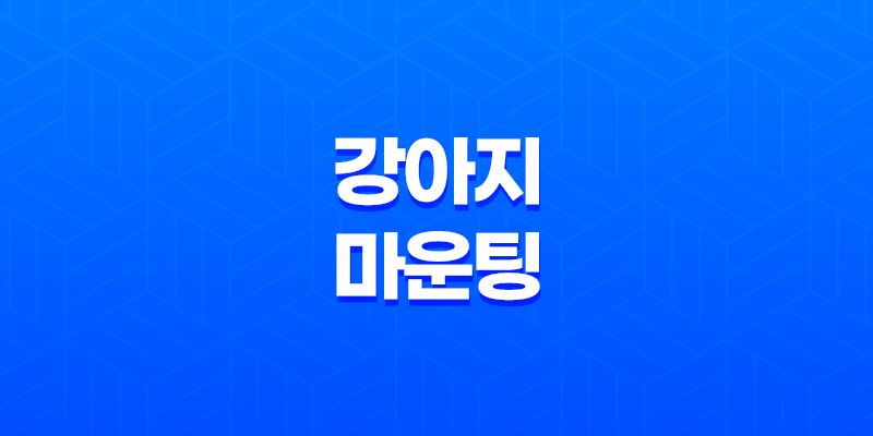 강아지 마운팅 행동 이해와 대처법 8 강아지 마운팅 행동 이해와 대처법 7