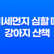 미세먼지 심할 때, 강아지 산책 하면 안되는 이유 11