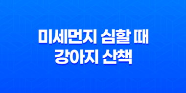 미세먼지 심할 때, 강아지 산책 하면 안되는 이유 35