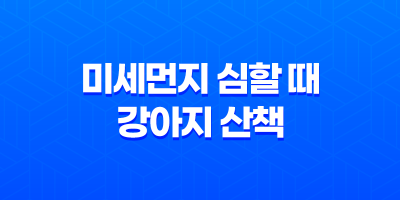 미세먼지 심할 때, 강아지 산책 하면 안되는 이유 8 미세먼지 심할 때, 강아지 산책 하면 안되는 이유 7