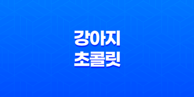 강아지에게 중요한 위험(+ 초콜릿 대처법 및 예방법) 71