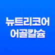 뉴트리코어 어골칼슘 프리미엄 건강한 뼈를 위한 최고의 선택 29