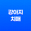 강아지 치매 증상과 예방하는 법 25