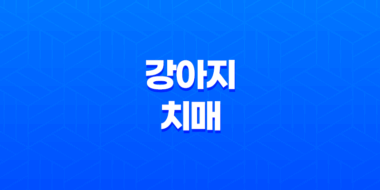강아지 치매 증상과 예방하는 법 43