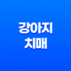 강아지 치매 증상과 예방하는 법 25