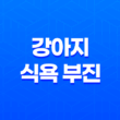 강아지 식욕 부진 이유 및 해결방법(+ 밥 안먹을 때) 15