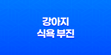 강아지 식욕 부진 이유 및 해결방법(+ 밥 안먹을 때) 27