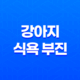 강아지 식욕 부진 이유 및 해결방법(+ 밥 안먹을 때) 21