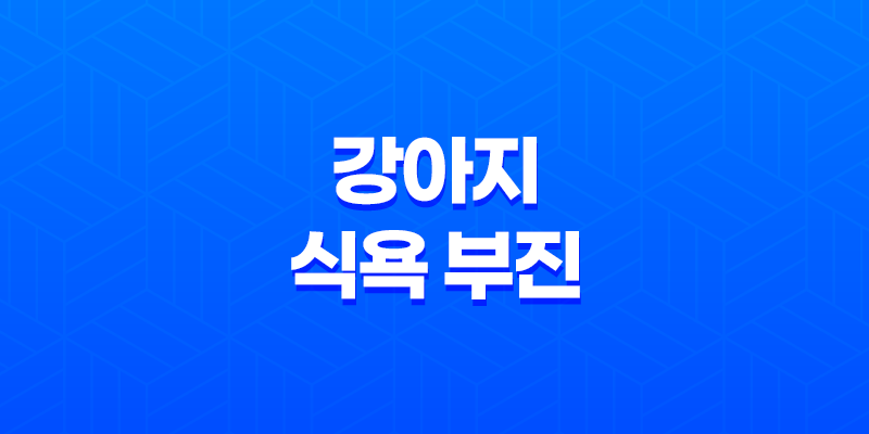 강아지 식욕 부진 이유 및 해결방법(+ 밥 안먹을 때) 8 강아지 식욕 부진 이유 및 해결방법(+ 밥 안먹을 때) 7
