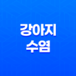 강아지 수염 자르면 안 되는 이유 29