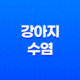 강아지 수염 자르면 안 되는 이유 29
