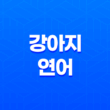 강아지 연어 급여, 효율적인 방법과 주의사항 21
