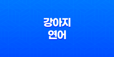 강아지 연어 급여, 효율적인 방법과 주의사항 139