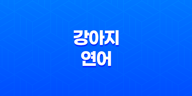 강아지 연어 급여, 효율적인 방법과 주의사항 8 강아지 연어 급여, 효율적인 방법과 주의사항 7