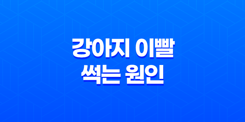 강아지 이빨 썩는 원인 및 예방법 8 강아지 이빨 썩는 원인 및 예방법 7