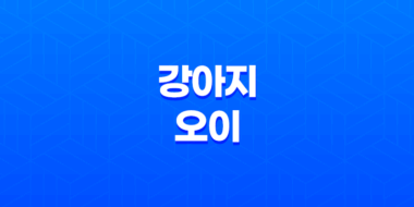 강아지 오이 급여 방법과 주의사항 - 건강한 급여 방법으로 알뜰하게! 35