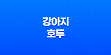 강아지 호두 주지 마세요 - 호두의 위험과 주의사항 27