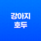 강아지 호두 주지 마세요 - 호두의 위험과 주의사항 23