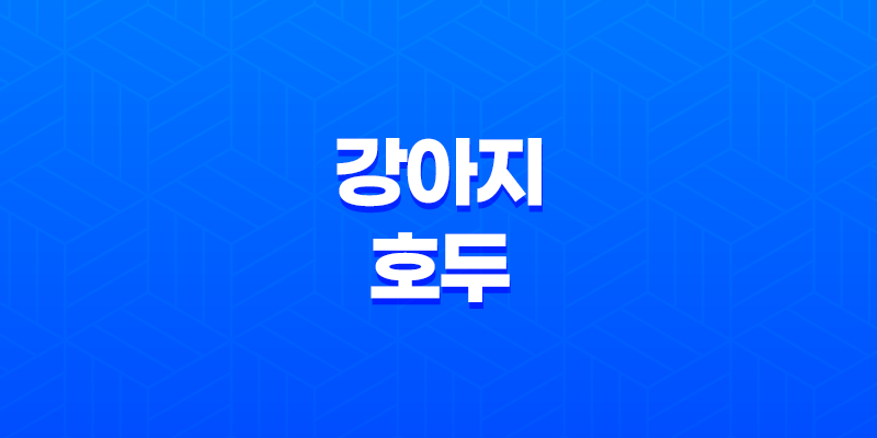 강아지 호두 주지 마세요 - 호두의 위험과 주의사항 8 강아지 호두 주지 마세요 - 호두의 위험과 주의사항 7