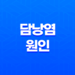 담낭염 원인, 증상, 치료 및 예방법 21