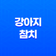 강아지 참치 먹어도 괜찮을까요? 안전하게 참치를 급여하는 방법 17