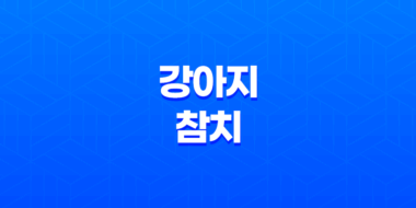강아지 참치 먹어도 괜찮을까요? 안전하게 참치를 급여하는 방법 45