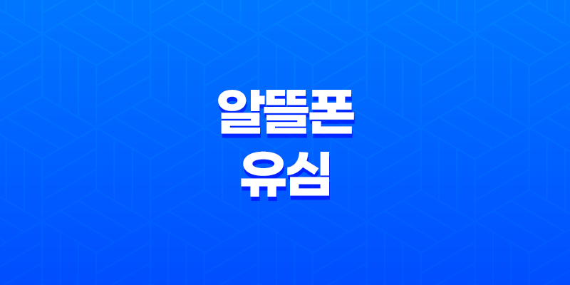 알뜰폰 유심 - 통신비 절약의 핵심, 요금제 비교부터 초간단 셀프 개통까지 모든 것 7