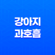 강아지 과호흡의 증상, 원인, 그리고 대응 전략 - 심층적인 분석 17
