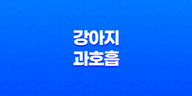 강아지 과호흡의 증상, 원인, 그리고 대응 전략 - 심층적인 분석 39