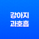강아지 과호흡의 증상, 원인, 그리고 대응 전략 - 심층적인 분석 15
