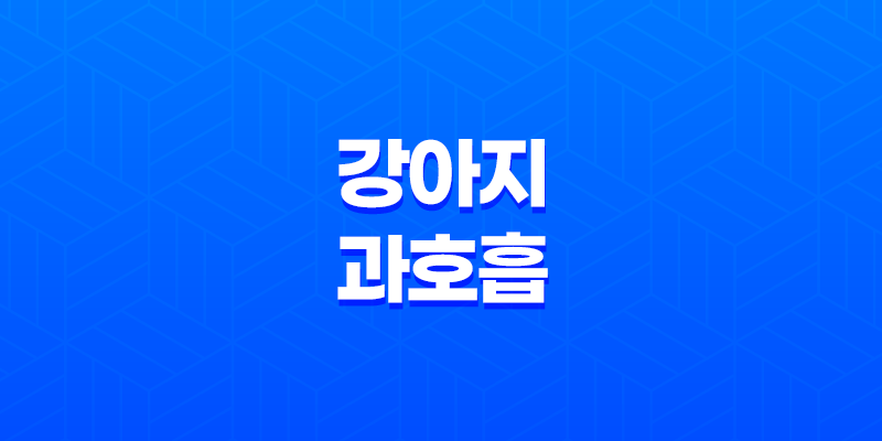 강아지 과호흡의 증상, 원인, 그리고 대응 전략 - 심층적인 분석 8 강아지 과호흡의 증상, 원인, 그리고 대응 전략 - 심층적인 분석 7