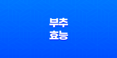 부추 효능과 보관방법 27